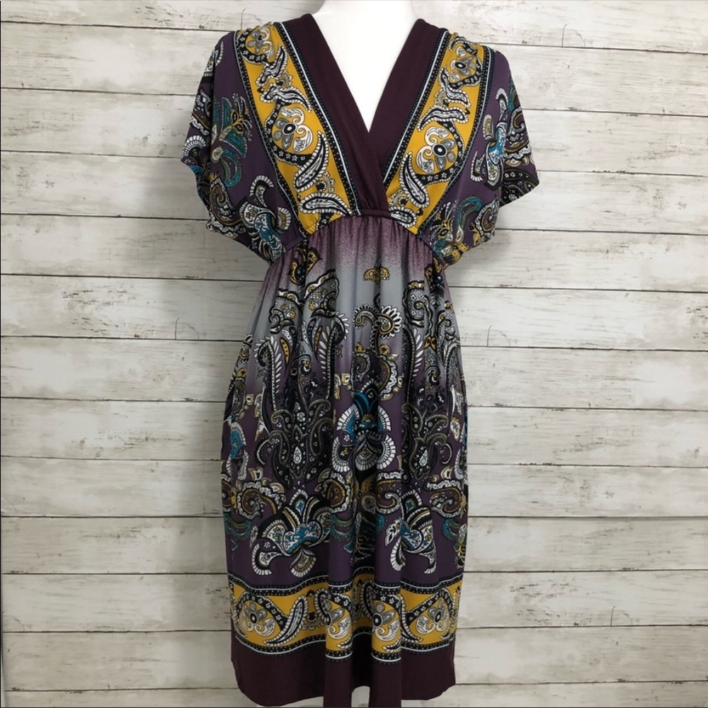 Bailey Blue | Paisley Tunic Dress | Size Large